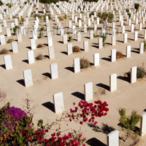 El Alamein Tour